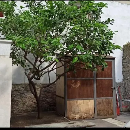 Il Giardino In Citta Apartamento Savona